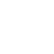 Hyde Square Task Force