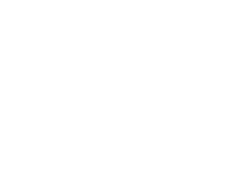 The Nor'easters